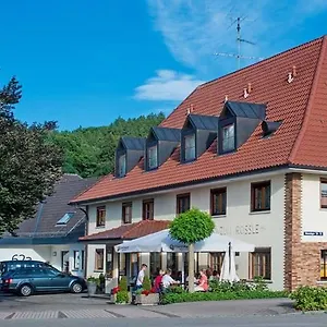 Hotel Gasthof Zum Rössle, Altenstadt (Swabia)